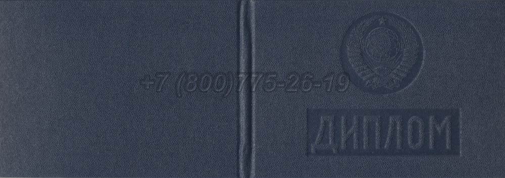 Диплом техникума Молдавской ССР Гознак 1975-1991 год выпуска г.Иркутск